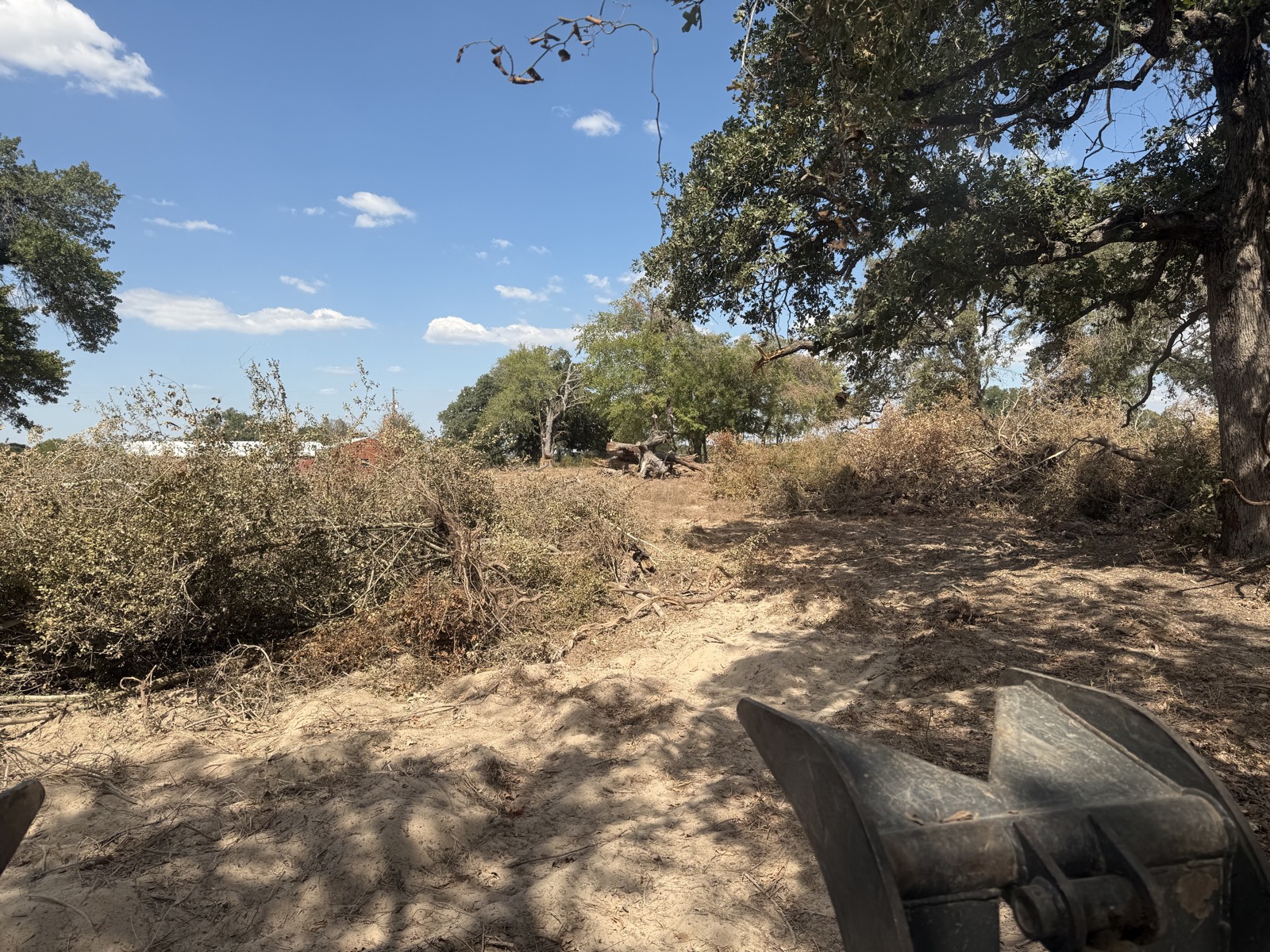 Cut brush laid down under kept oaks, grapple moving in to stack it